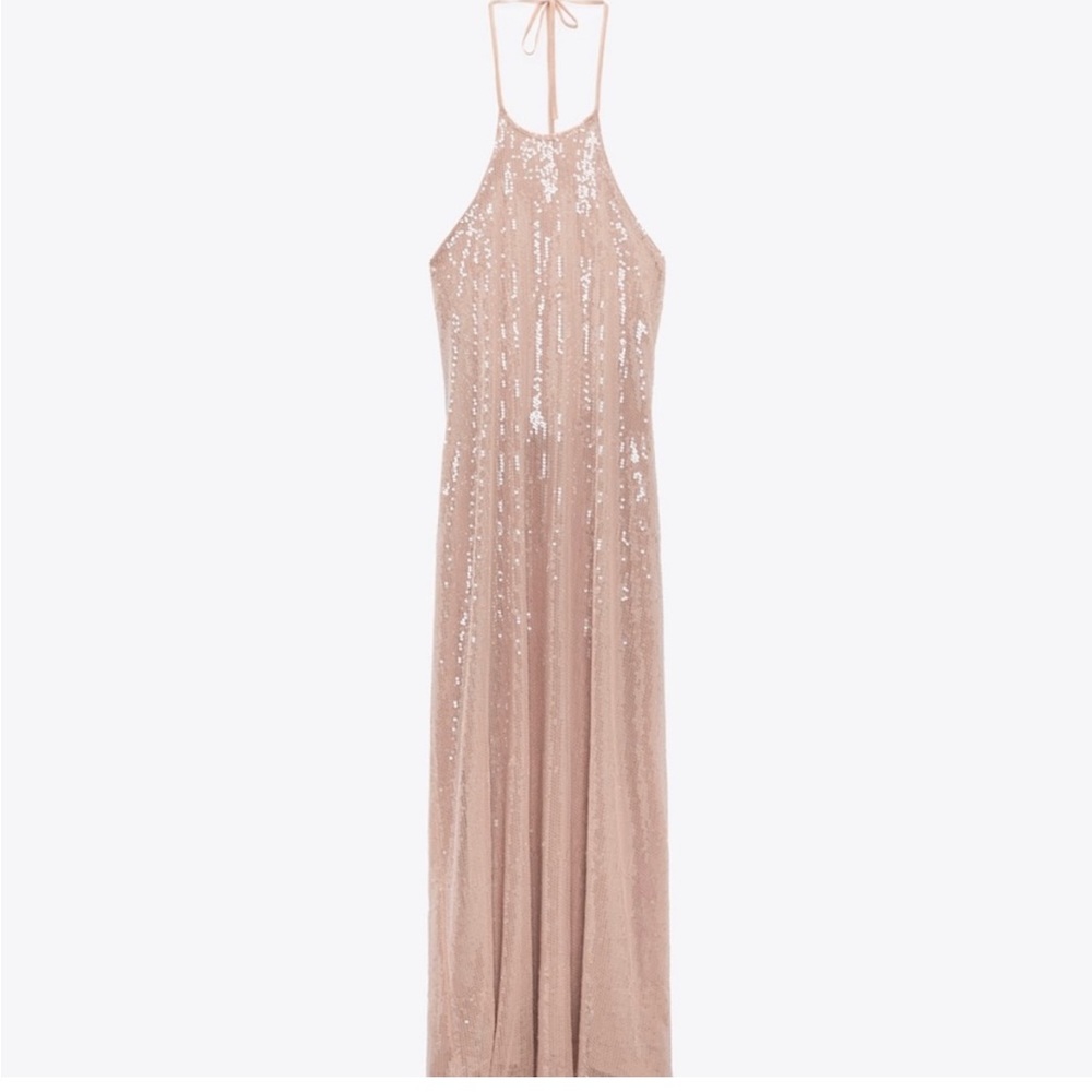 Zara Beige Sequin Midi Dress